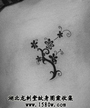 ����ͼ������ͼ��