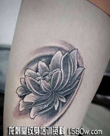 �Ȳ���������ͼ��