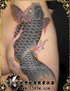 ���������β�����