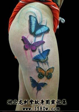 3D�������������β�����