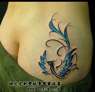 ��������β�����