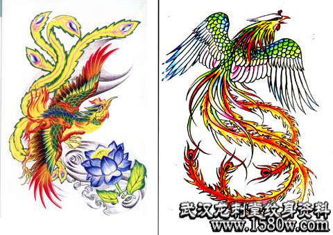 ��������ָ岻��������