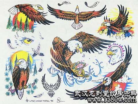 ��ӥ�����ָ���ӥ������