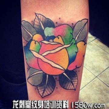 ŷʽõ������ͼ��