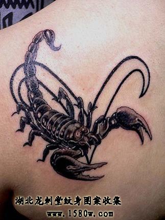 3DЫ������ͼ��