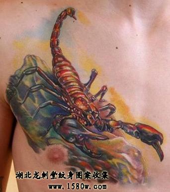 �ز�Ы������ͼ��