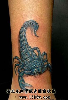 3DЫ������3D����ͼ��