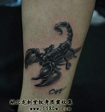 3D����3DЫ������