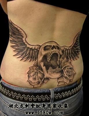 õ������������������