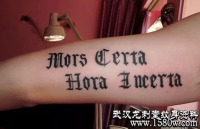 �ֱ۸�����������������