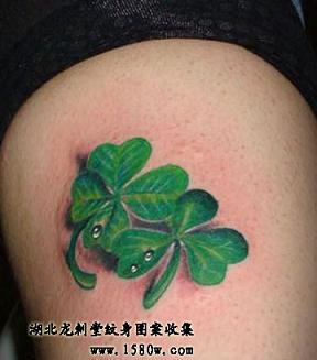 3D��Ҷ������ͼ��