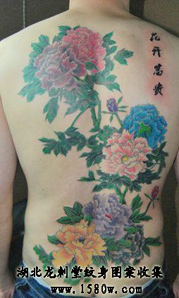 ����ĵ��������ͼ��