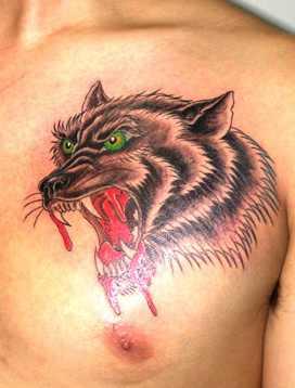 ��Ѫ�������ز�����