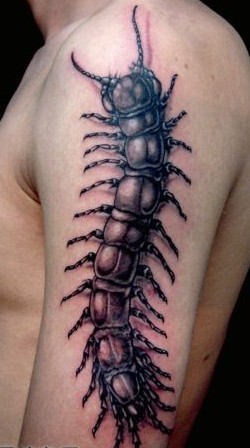 3D���������������ͼ��